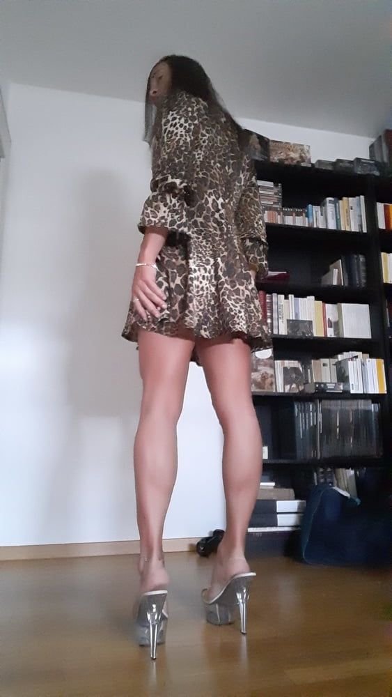 Sissy Tygra in leopard dress on 2019 octobre. #35
