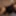 Ücretsiz Monzerrat Boyer Fotoğrafları