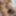 Man with handsome hairy huge dick alone in room #17