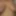 Sucked nipples