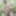 NAKED GRANDPA CRUISING PUBLIC OUTDOOR WOOD HAVING GREAT CUMS