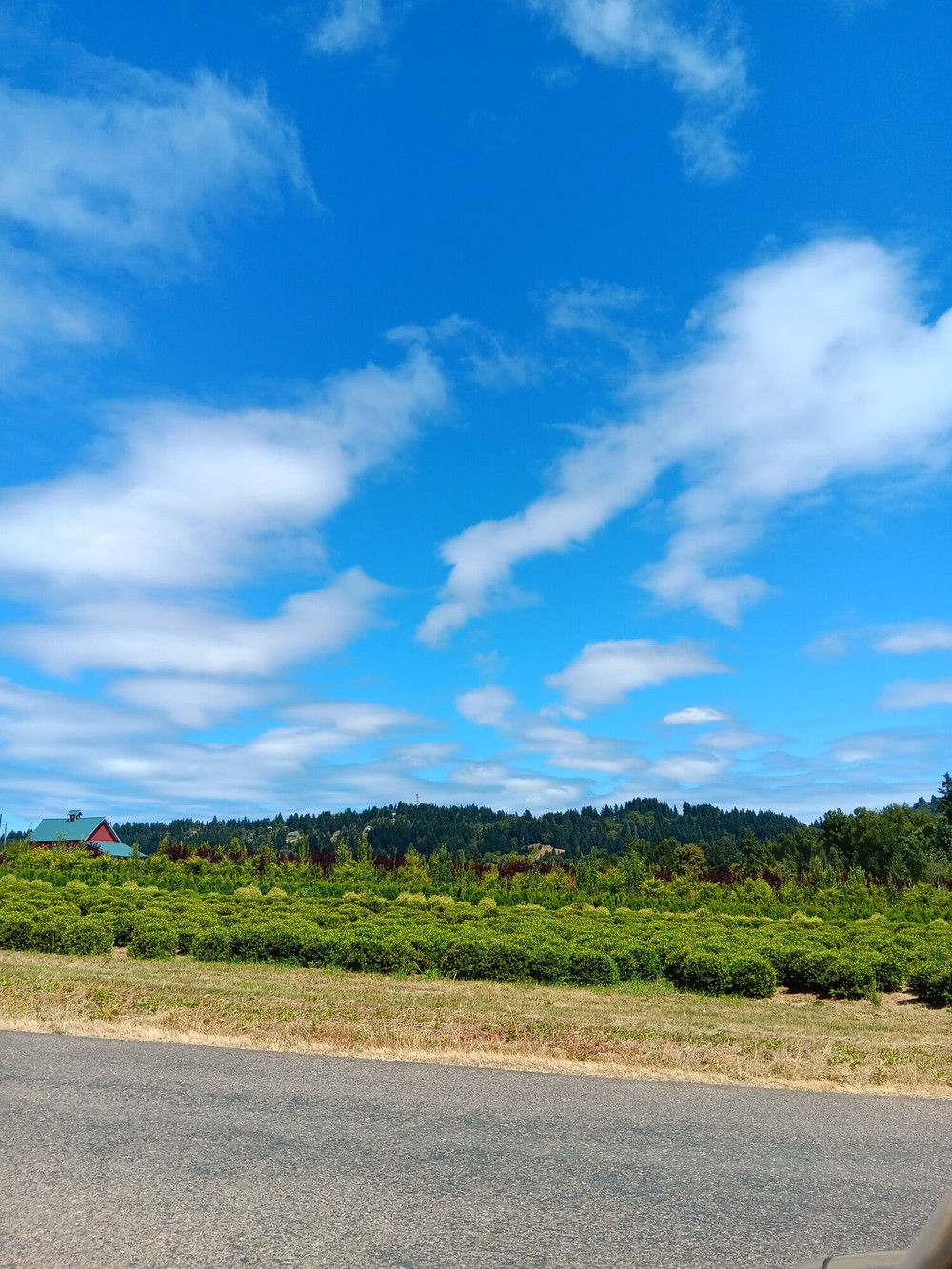 Best of 2025- July #11