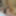 Dec 3 WEEKLY Video Update to DoggVision VIP Members Area  #2