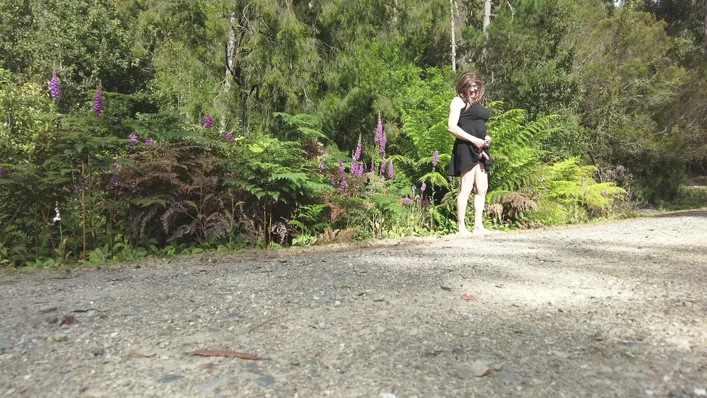 Crossdress Road Trip - Forest Road - Black Dress #10