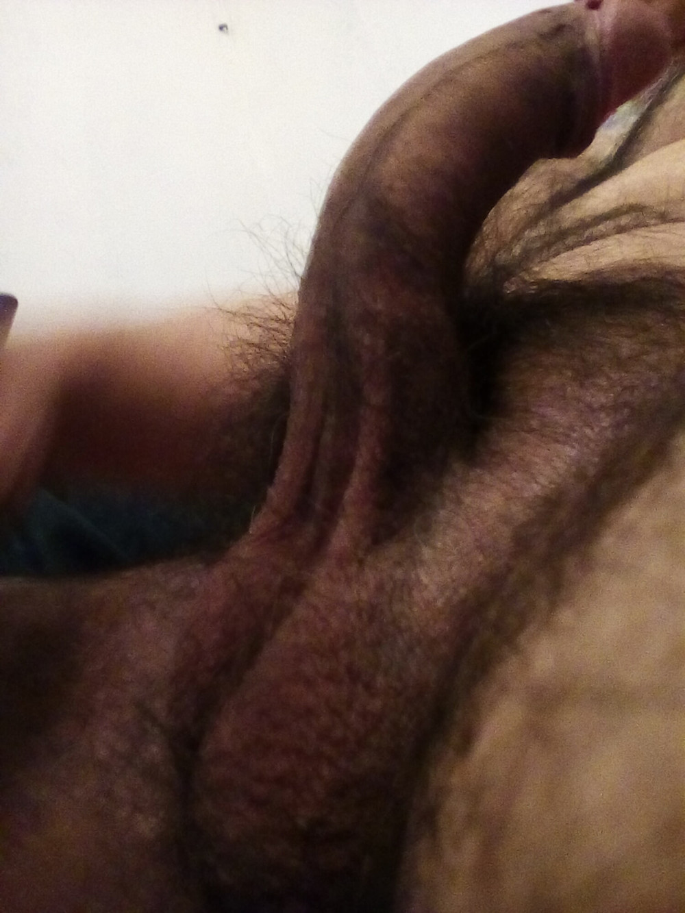 StallionXXX #12