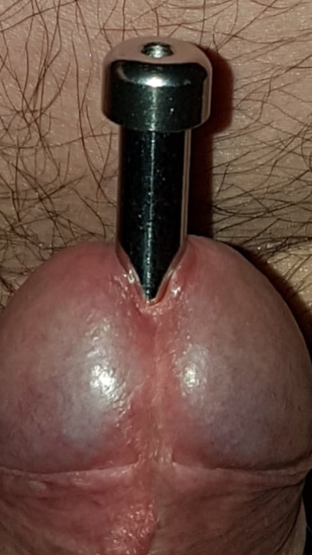 Urethral insertion #32