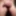 Scrotum