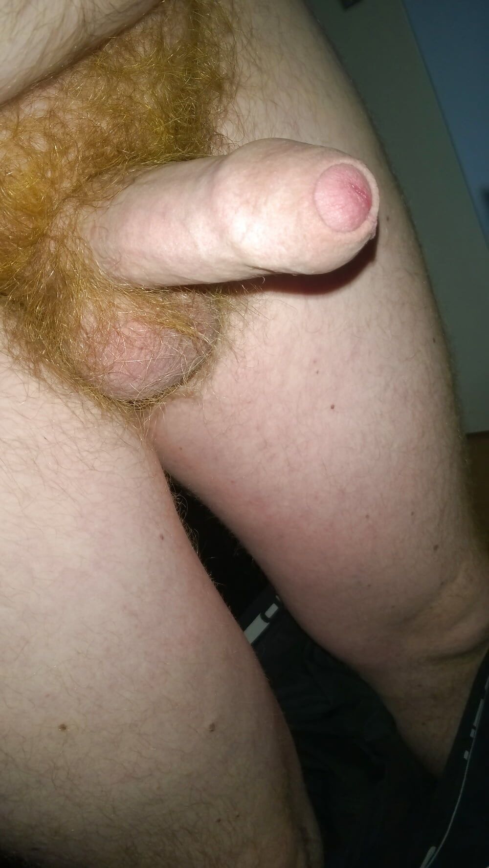 My Red Bush Dick #4