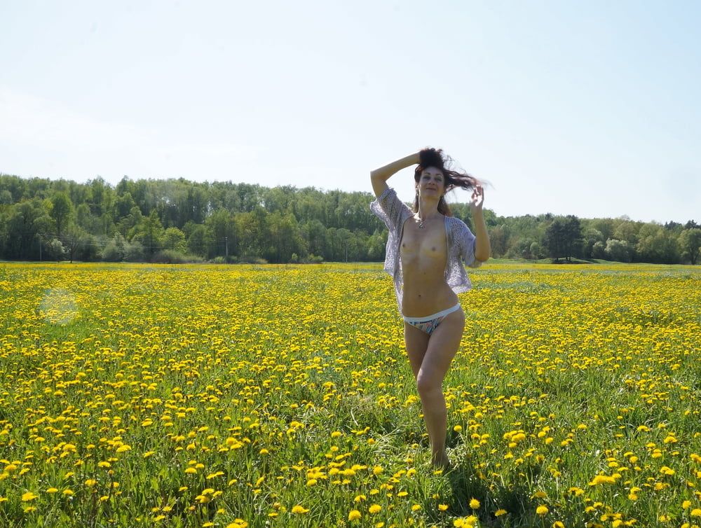 Yellow Meadow #24