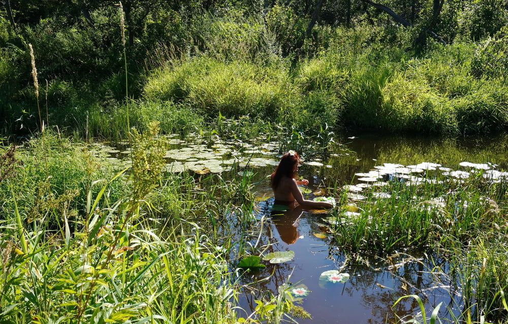 in a weedy pond #16