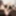 TGIRLS.XXX: Ava Holt Wants To Be Tasted #6