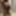 Naked Me