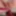 Intimate Doggy Close-Up Cum On Pussy - 576