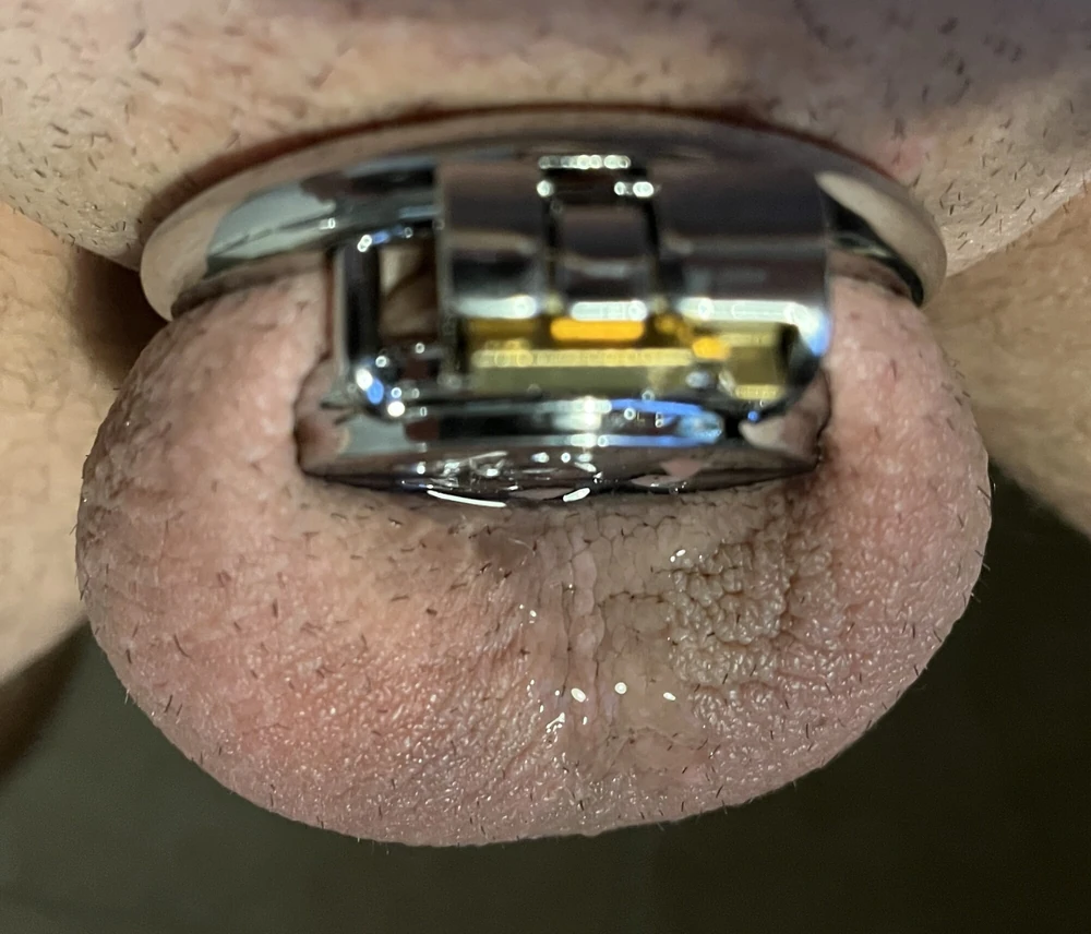 New chastity cage