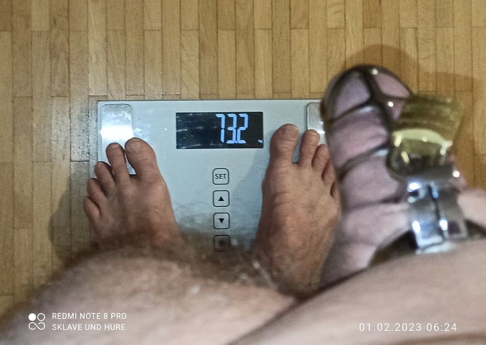 weighing, nipple torture and cagecheck of 01.02.2023 #6