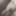 my dick 