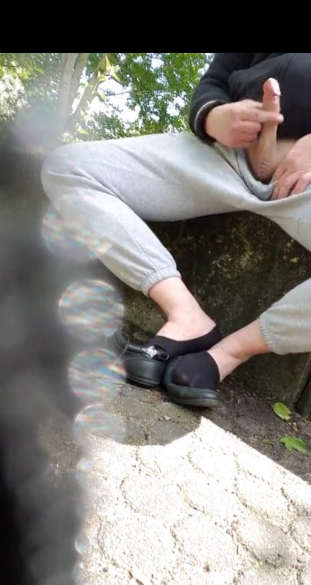 Kurze socken zeigen und Schwanz Spielen im Park 