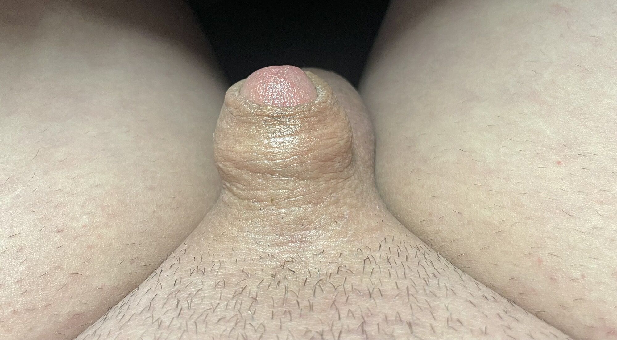 Tiny, inverted cock #6