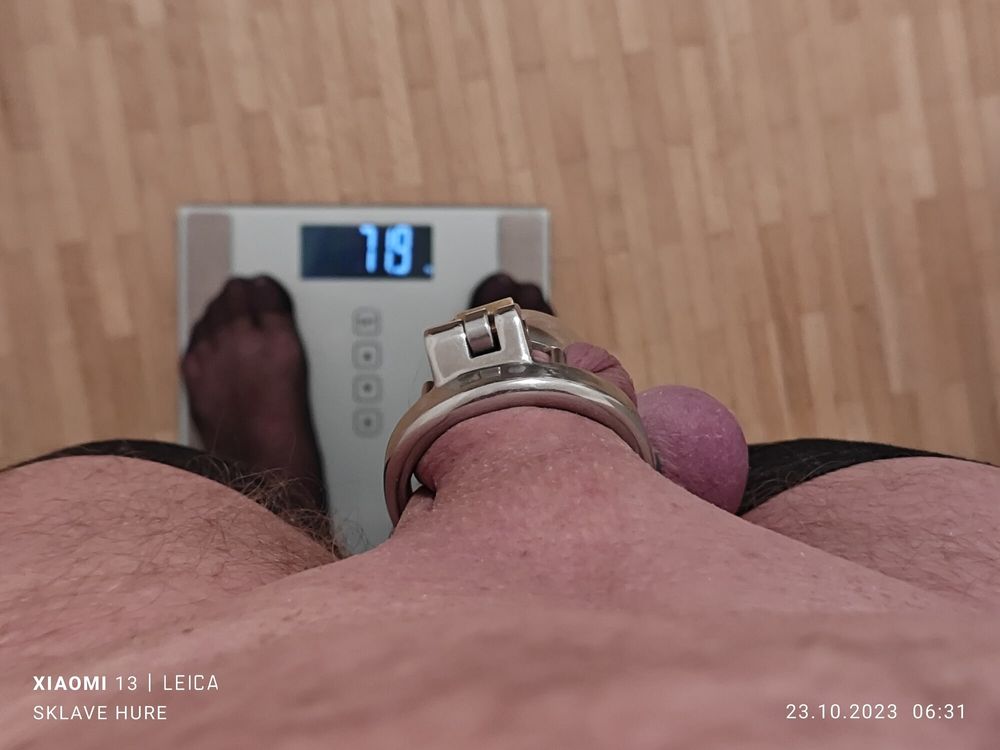 Mandatory weighing cagecheck plugcheck Oktober 23, 2023 #4