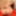 BRAZILIAN-TRANSSEXUALS: Barbara Pires returns in new solo