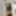 Morena Vee Free Photos