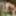  Uwe nackt in der Natur  #9