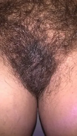 hairy joytwosex big bush         