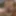 Some photos of an excited cock. #5