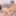 TGIRLS. Porno: kızlar birlikte ne yapıyor