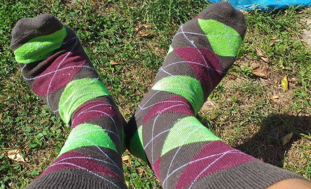 Socks I love #37
