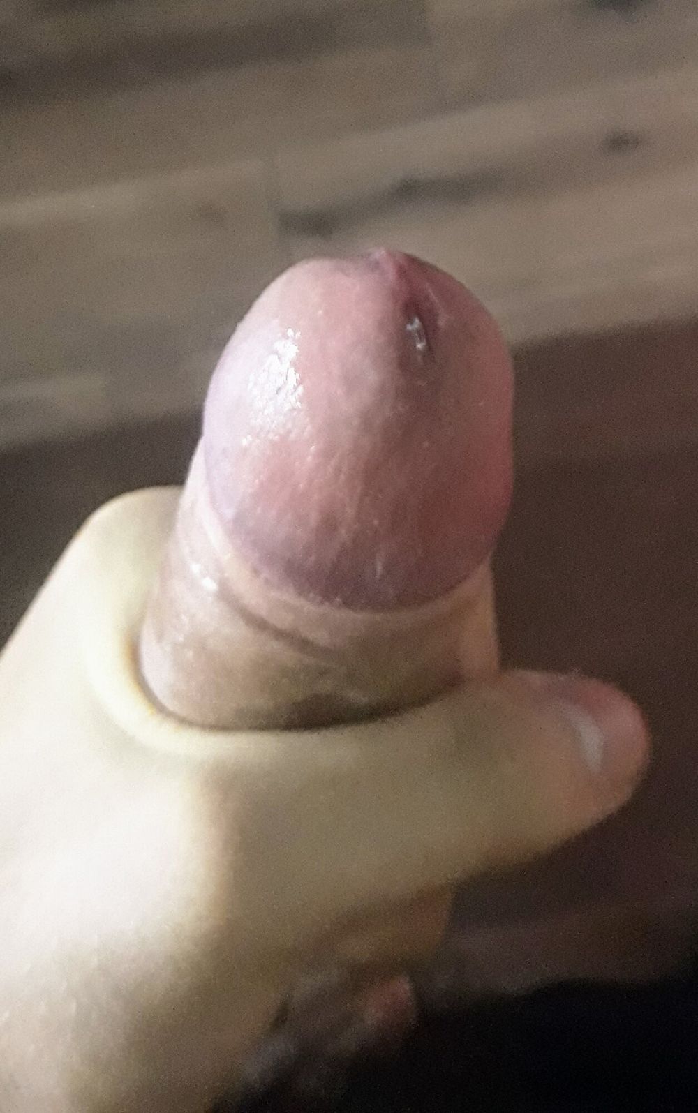 Closeup Cock #11