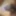 Indian boy dick