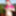 hot pregnant gypsy girl on casting