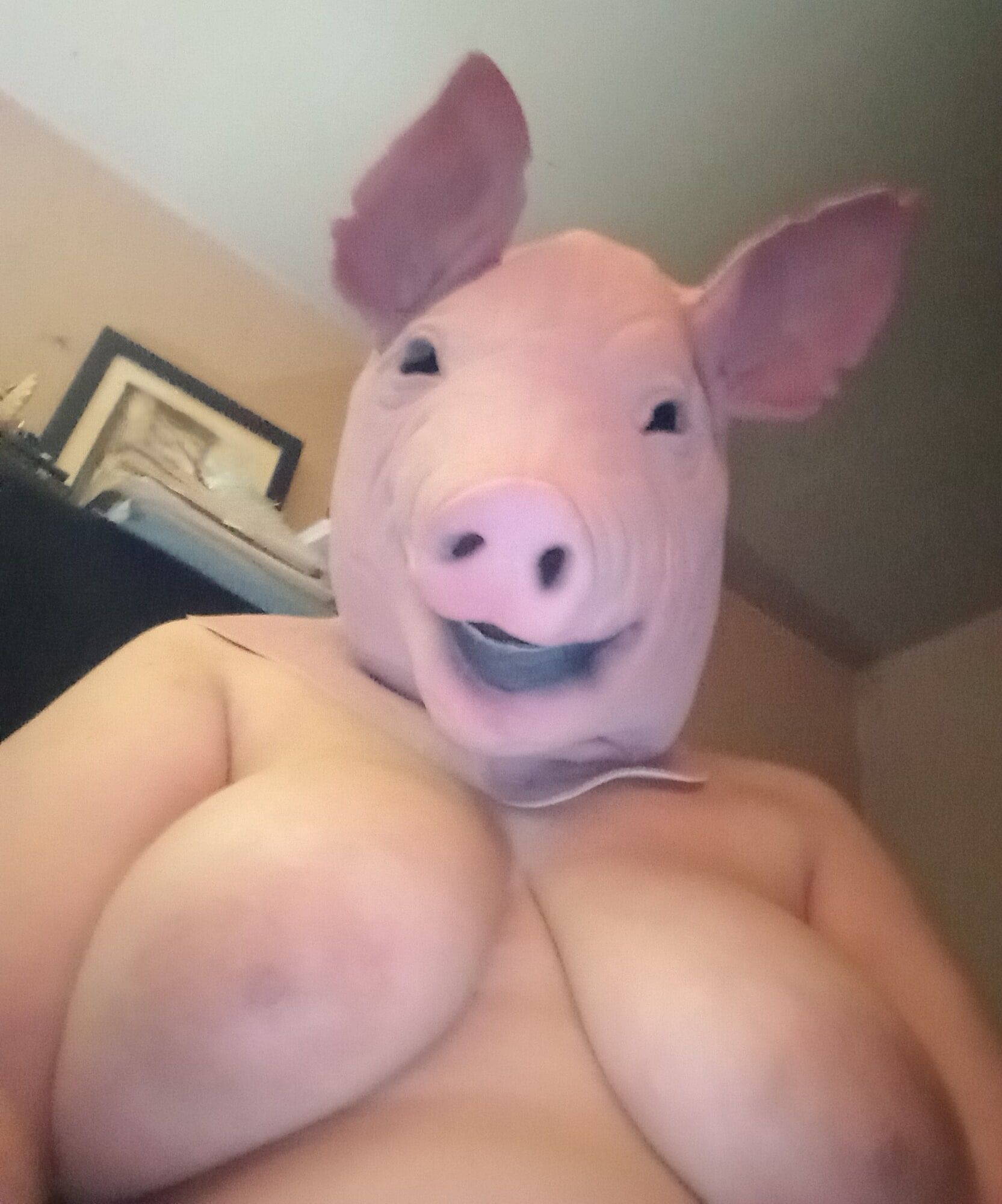 Ich LIEBE meine schweinemaske!!