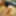 Dick pics #3