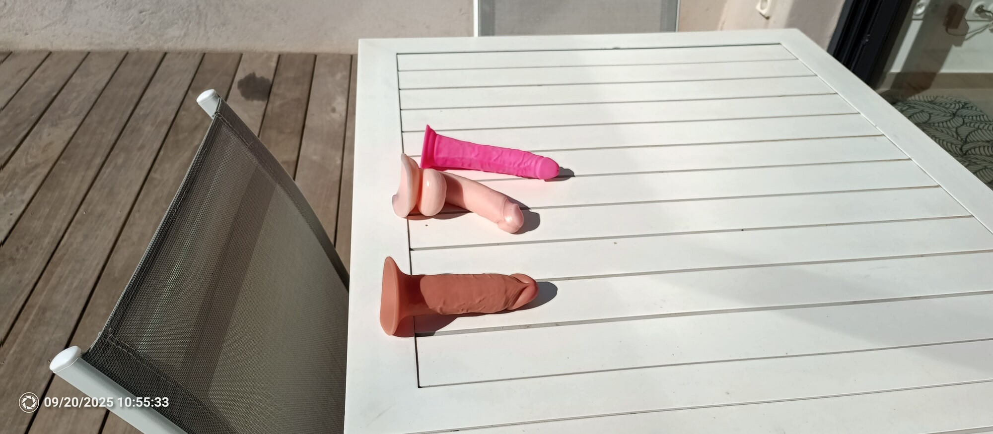 Penis