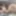 exhibitionist daddy machinefuck my ass in bondage cumshot se