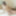Reina Shiraishi :: Fall In Love - CARIBBEANCOM #37