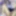18-Year-Old Student with a Tight Pussy That Grips My Cock