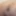 Latino Slut Loves To Swing Cock