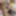 Man with handsome hairy huge dick alone in room #16