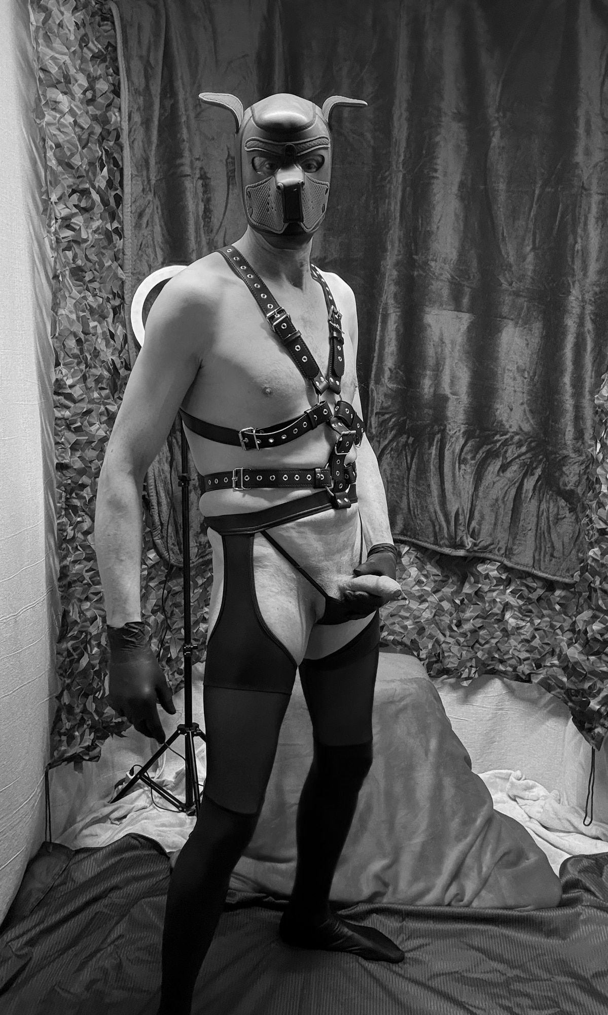 Sexy Cock Show Black And White Style #6