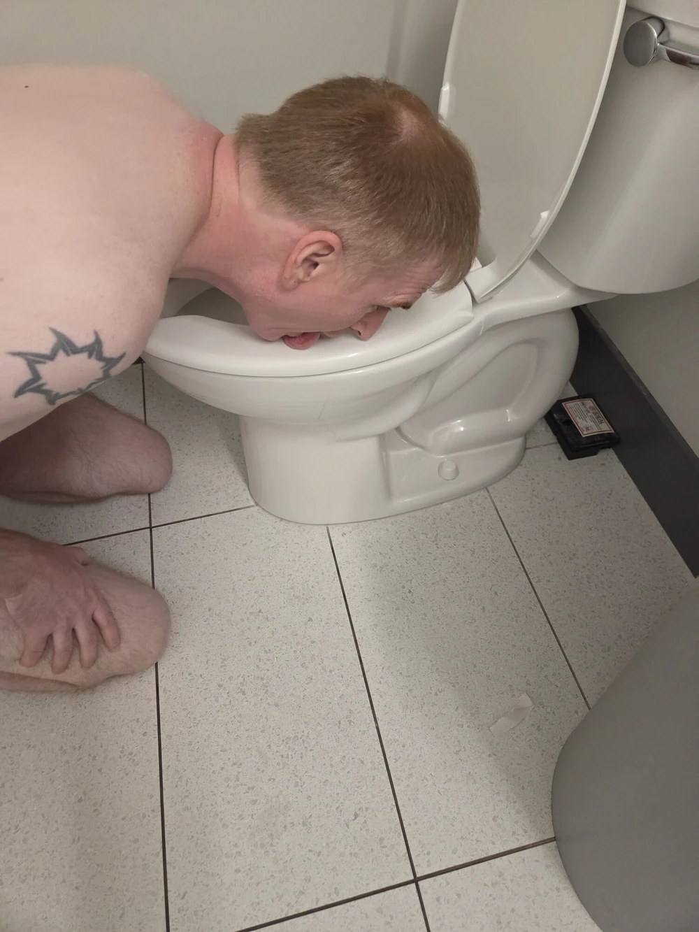 Licking Toilets #6