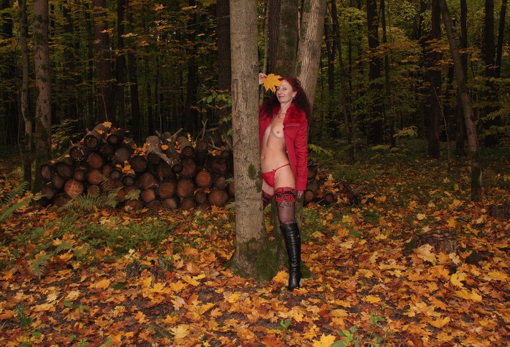 Red Autumn 5 #6