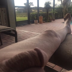 Small Penis Outside