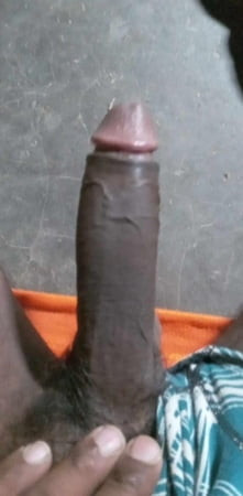 Desi lund Indian Boy Hard cock