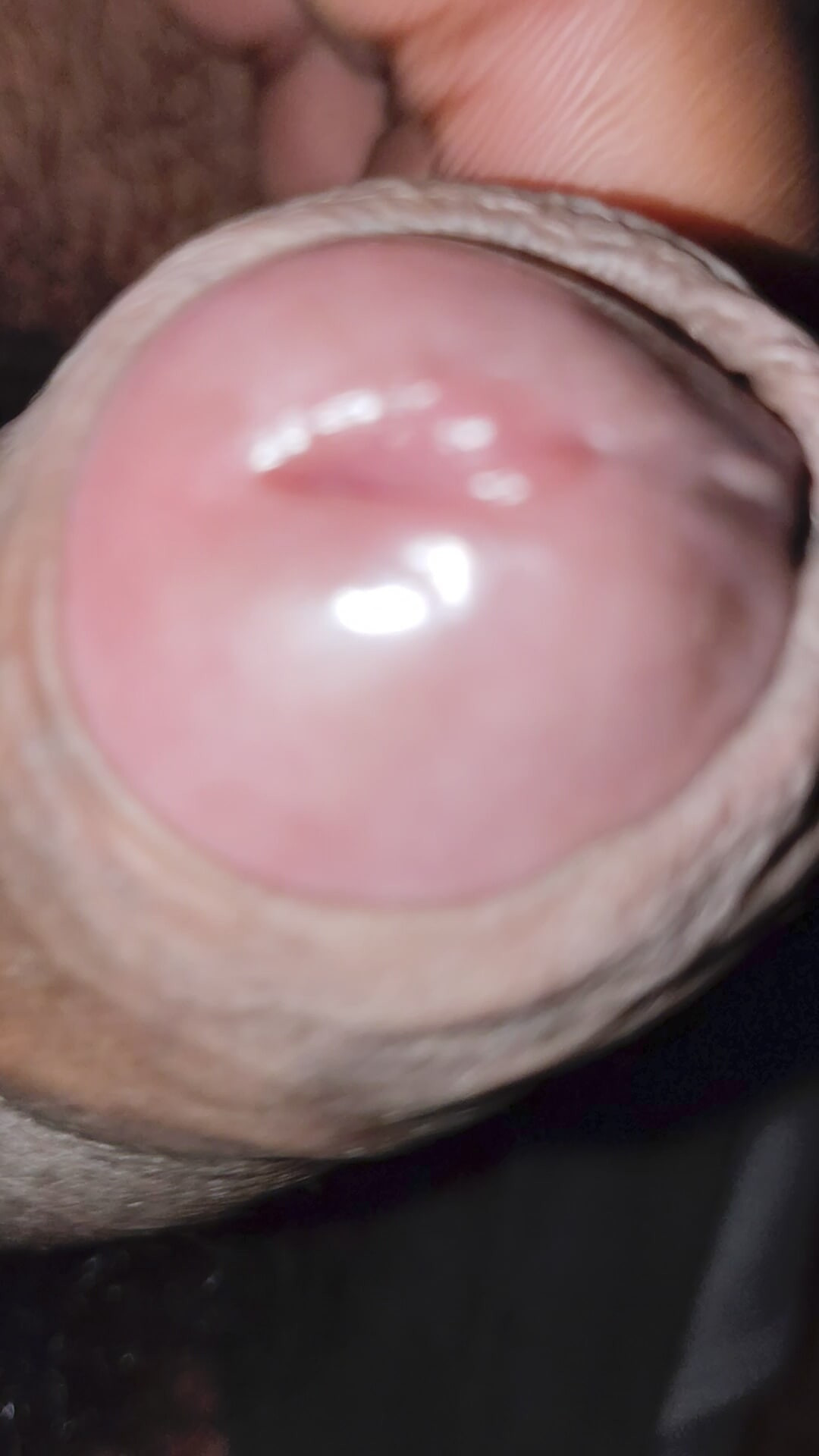 My veiny cock #8