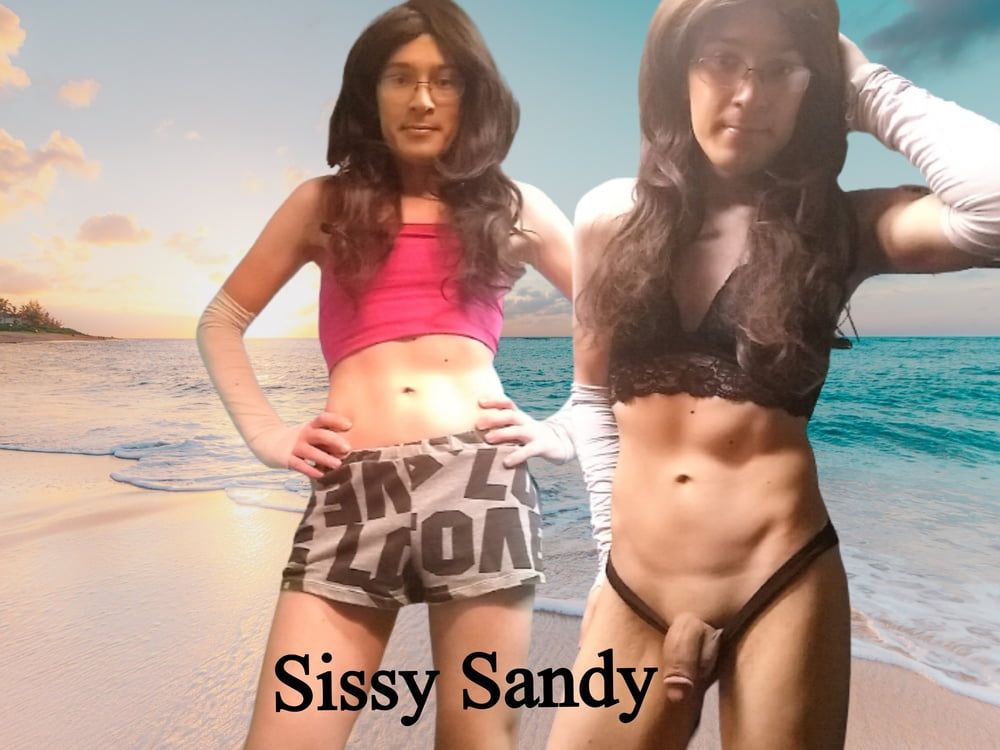 Sissy Sandy Exposed 2, SissySandyy20, Brandon Hippel