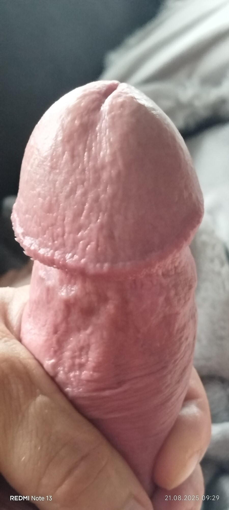 My Hard Cock #51