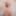 Nika😽 Free Photos